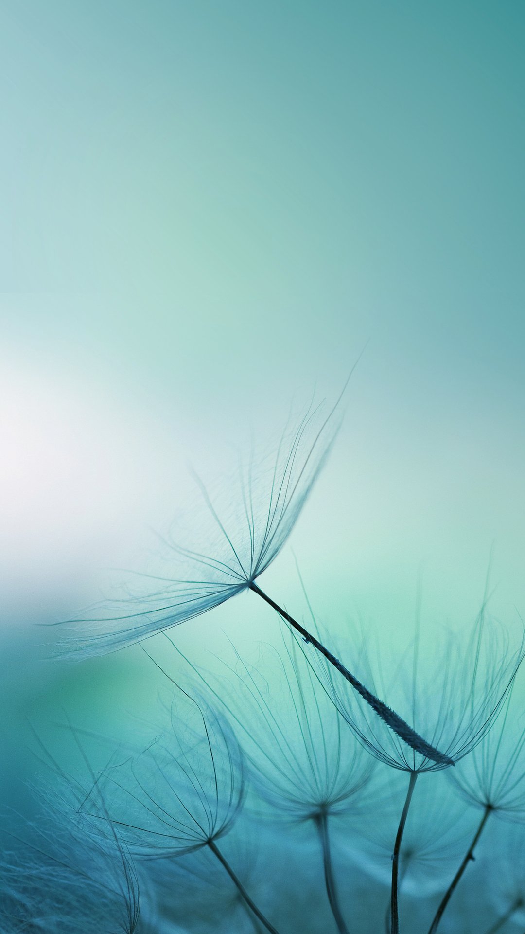 Meizu pro 7 secondary display wallpaper Meizu pro 7 secondary display wallpaper